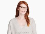 Warby Parker T4FT0T410 Brille Karamellschildkröte mit poliertem Gold otti – Bild 3