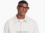 Warby Parker T4FT0T450 Brille Sonnenstrahl-Schildkröte verblassen Yamini – Bild 3
