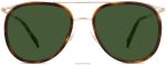 Warby Parker T4FT0T774 Brille Eichenfass mit poliertem Gold Montague – Bild 4