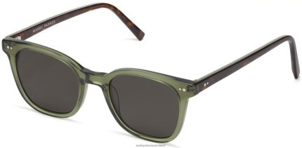 Warby Parker T4FT0T784 Brille Algenkristall mit Cognac-Schildkröte Greif
